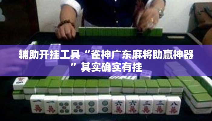 辅助开挂工具“雀神广东麻将助赢神器	”其实确实有挂