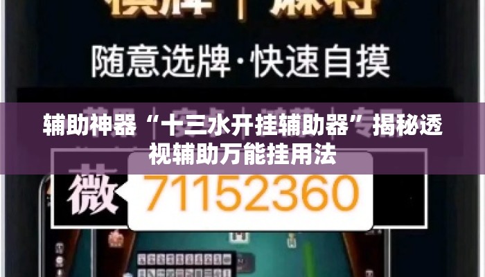 辅助神器“十三水开挂辅助器”揭秘透视辅助万能挂用法