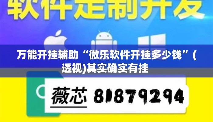 万能开挂辅助“微乐软件开挂多少钱	”(透视)其实确实有挂 