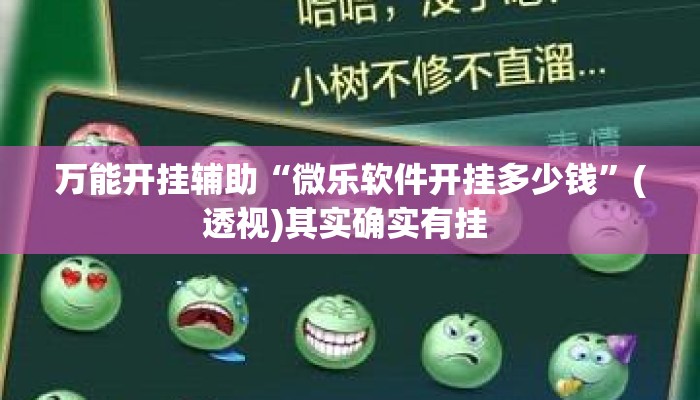 万能开挂辅助“微乐软件开挂多少钱”(透视)其实确实有挂 