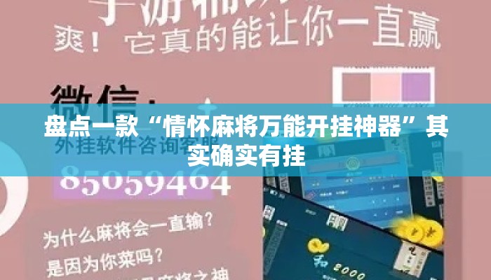 盘点一款“情怀麻将万能开挂神器	”其实确实有挂