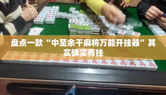 盘点一款“中至余干麻将万能开挂器”其实确实有挂