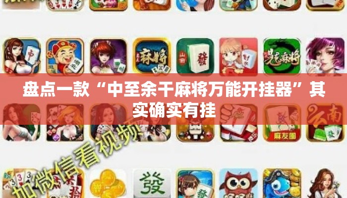 盘点一款“中至余干麻将万能开挂器”其实确实有挂