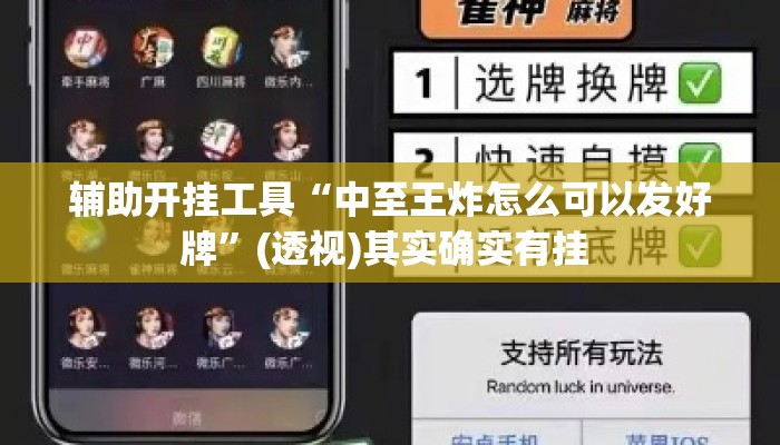 辅助开挂工具“中至王炸怎么可以发好牌”(透视)其实确实有挂 