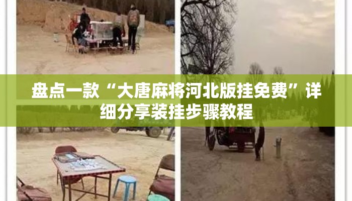 盘点一款“大唐麻将河北版挂免费”详细分享装挂步骤教程