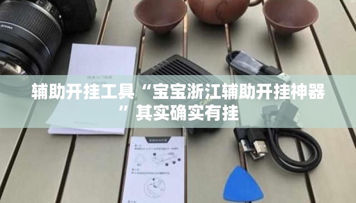 辅助开挂工具“宝宝浙江辅助开挂神器”其实确实有挂