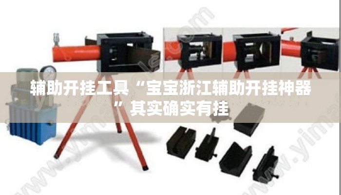 辅助开挂工具“宝宝浙江辅助开挂神器”其实确实有挂