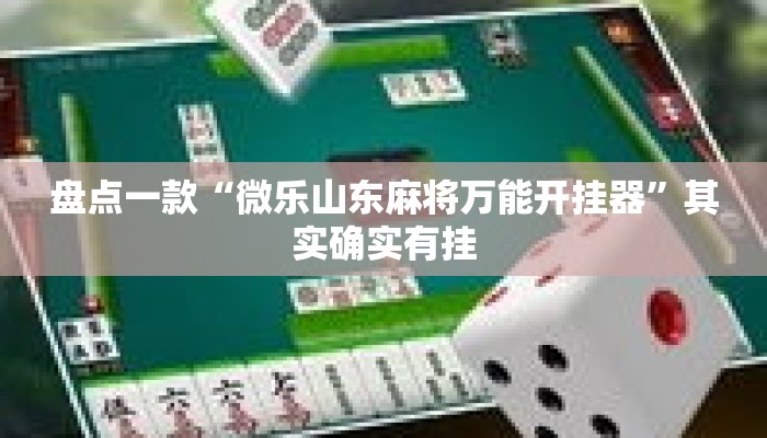 盘点一款“微乐山东麻将万能开挂器	”其实确实有挂