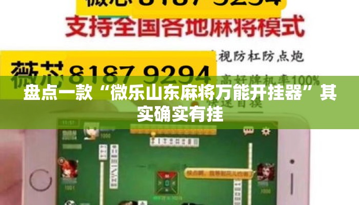 盘点一款“微乐山东麻将万能开挂器”其实确实有挂