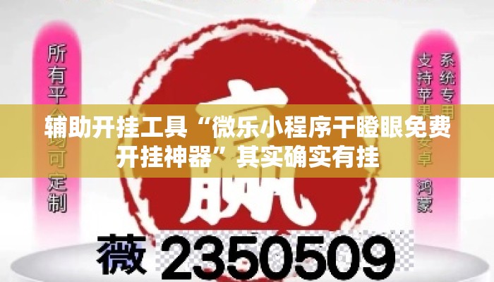 辅助开挂工具“微乐小程序干瞪眼免费开挂神器”其实确实有挂