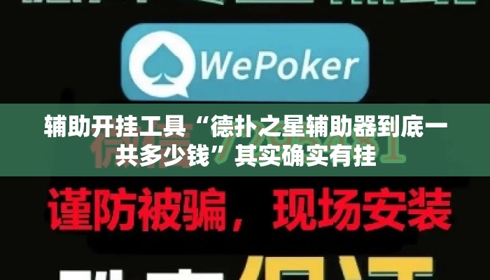 辅助开挂工具“德扑之星辅助器到底一共多少钱	”其实确实有挂