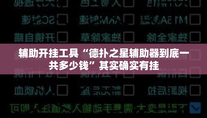 辅助开挂工具“德扑之星辅助器到底一共多少钱”其实确实有挂