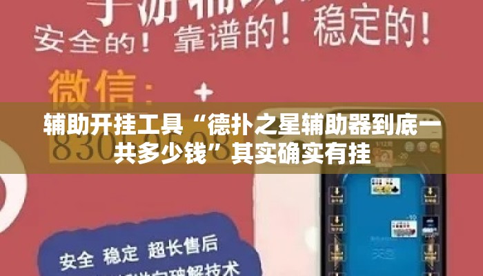 辅助开挂工具“德扑之星辅助器到底一共多少钱”其实确实有挂