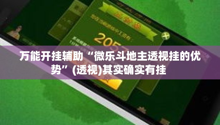 万能开挂辅助“微乐斗地主透视挂的优势	”(透视)其实确实有挂 