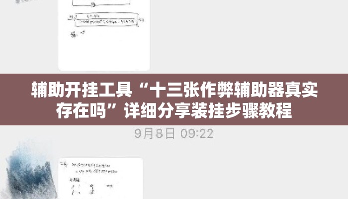辅助开挂工具“十三张作弊辅助器真实存在吗”详细分享装挂步骤教程