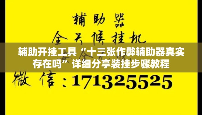 辅助开挂工具“十三张作弊辅助器真实存在吗”详细分享装挂步骤教程