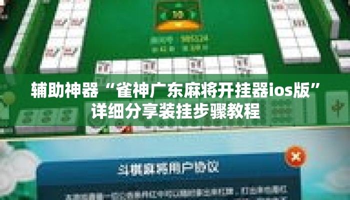 辅助神器“雀神广东麻将开挂器ios版	”详细分享装挂步骤教程