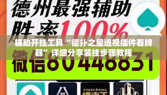 辅助开挂工具“德扑之星透视插件看牌器	”详细分享装挂步骤教程