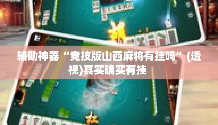 辅助神器“竞技版山西麻将有挂吗”(透视)其实确实有挂 