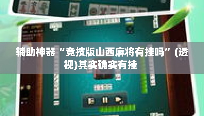 辅助神器“竞技版山西麻将有挂吗”(透视)其实确实有挂 