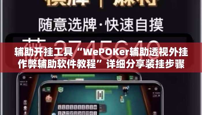 辅助开挂工具“WePOKer辅助透视外挂作弊辅助软件教程”详细分享装挂步骤教程