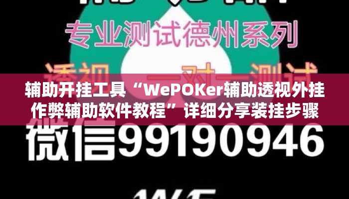 辅助开挂工具“WePOKer辅助透视外挂作弊辅助软件教程”详细分享装挂步骤教程