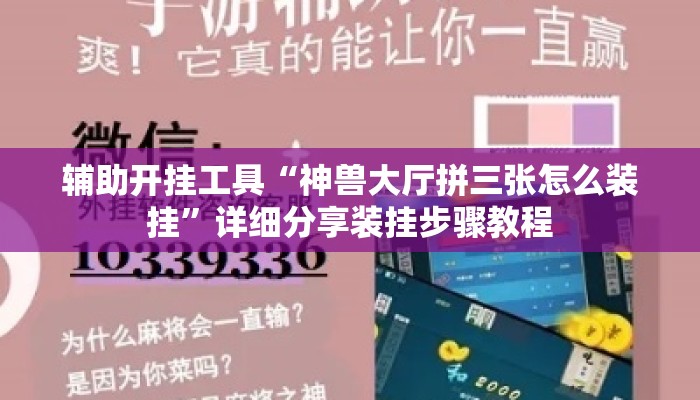 辅助开挂工具“神兽大厅拼三张怎么装挂	”详细分享装挂步骤教程