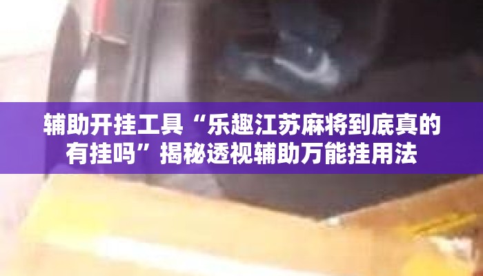 辅助开挂工具“乐趣江苏麻将到底真的有挂吗”揭秘透视辅助万能挂用法
