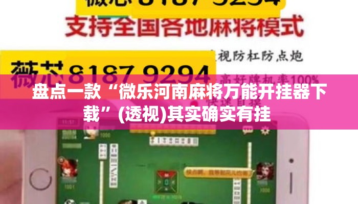 盘点一款“微乐河南麻将万能开挂器下载”(透视)其实确实有挂 