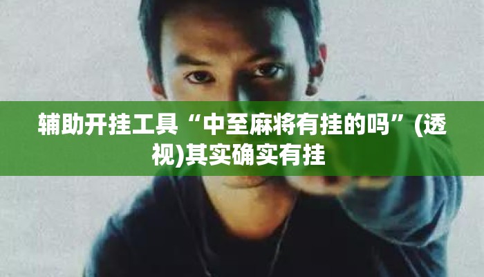 辅助开挂工具“中至麻将有挂的吗	”(透视)其实确实有挂 