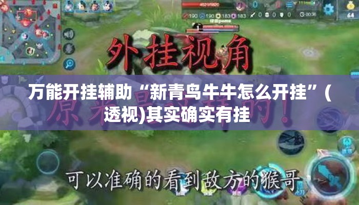 万能开挂辅助“新青鸟牛牛怎么开挂”(透视)其实确实有挂 