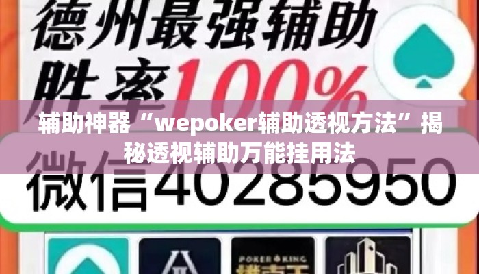 辅助神器“wepoker辅助透视方法”揭秘透视辅助万能挂用法
