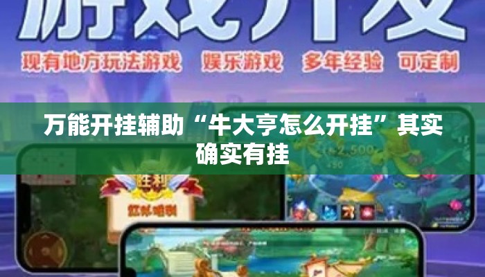 万能开挂辅助“牛大亨怎么开挂”其实确实有挂