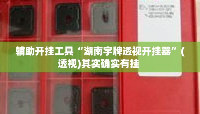 辅助开挂工具“湖南字牌透视开挂器”(透视)其实确实有挂 