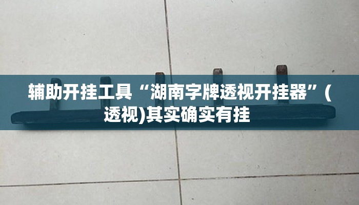 辅助开挂工具“湖南字牌透视开挂器”(透视)其实确实有挂 