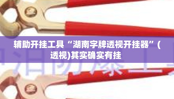 辅助开挂工具“湖南字牌透视开挂器”(透视)其实确实有挂 