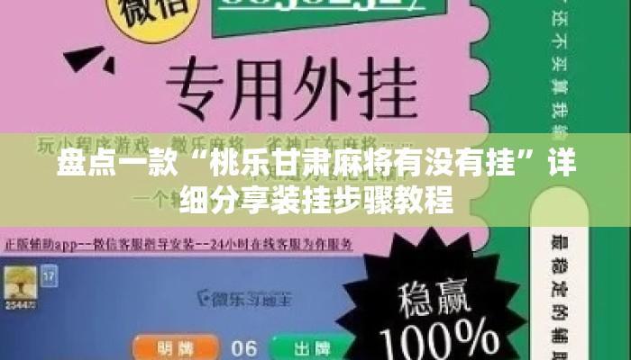 盘点一款“桃乐甘肃麻将有没有挂”详细分享装挂步骤教程