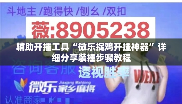 辅助开挂工具“微乐捉鸡开挂神器”详细分享装挂步骤教程