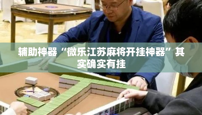 辅助神器“微乐江苏麻将开挂神器”其实确实有挂