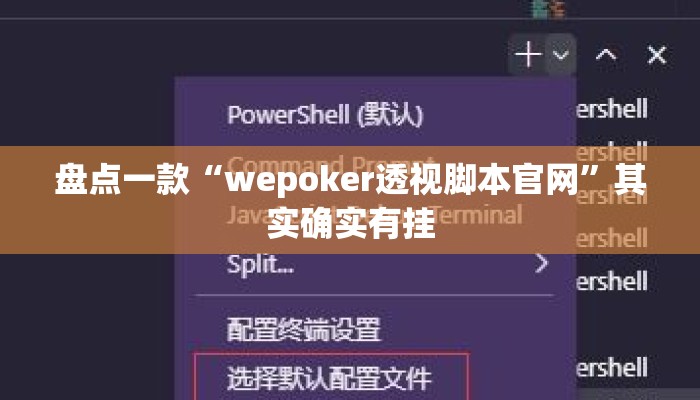 盘点一款“wepoker透视脚本官网”其实确实有挂