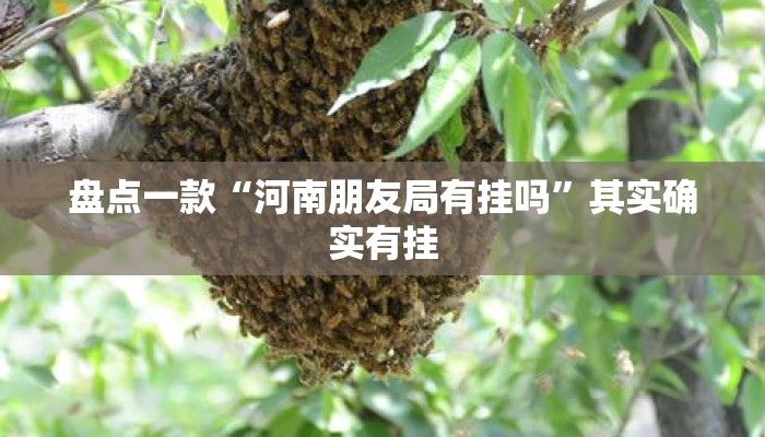盘点一款“河南朋友局有挂吗”其实确实有挂