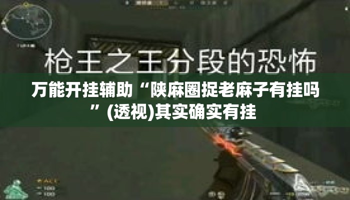 万能开挂辅助“陕麻圈捉老麻子有挂吗”(透视)其实确实有挂 