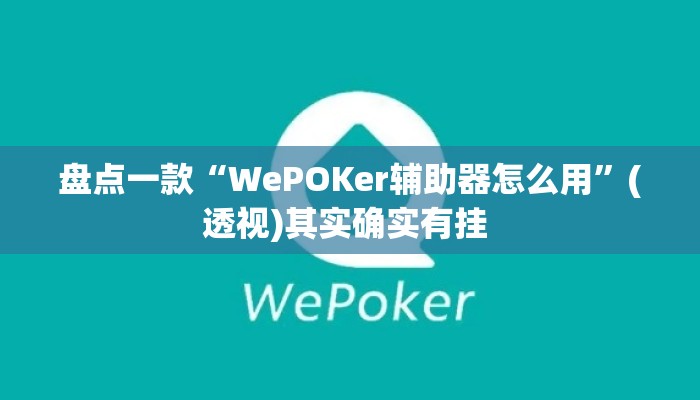 盘点一款“WePOKer辅助器怎么用	”(透视)其实确实有挂 
