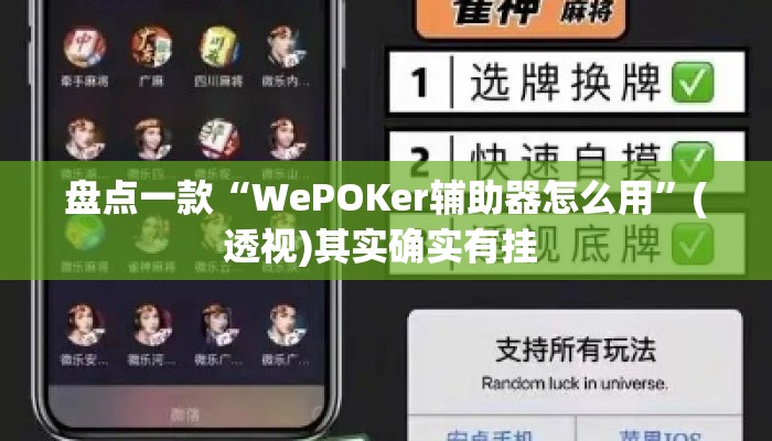 盘点一款“WePOKer辅助器怎么用”(透视)其实确实有挂 