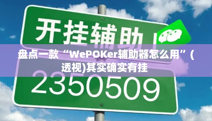 盘点一款“WePOKer辅助器怎么用”(透视)其实确实有挂 