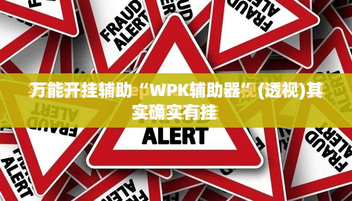 万能开挂辅助“WPK辅助器”(透视)其实确实有挂 