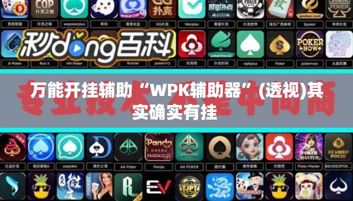 万能开挂辅助“WPK辅助器”(透视)其实确实有挂 