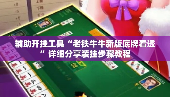 辅助开挂工具“老铁牛牛新版底牌看透	”详细分享装挂步骤教程