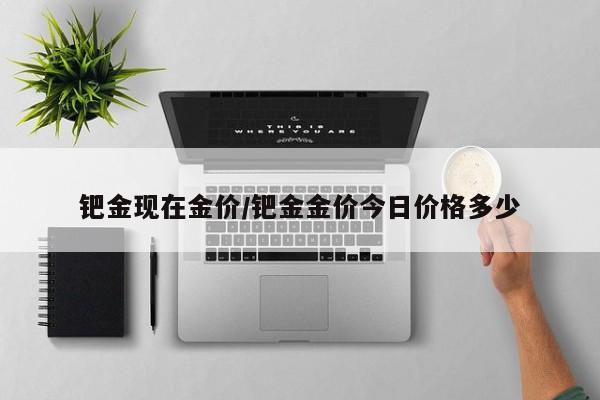 钯金现在金价/钯金金价今日价格多少