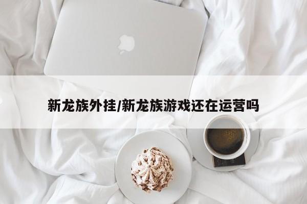 新龙族外挂/新龙族游戏还在运营吗